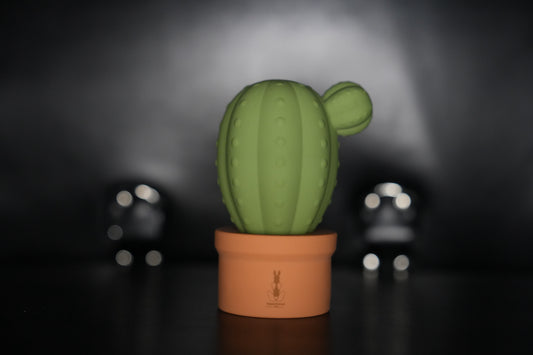 Cactus Vibrator