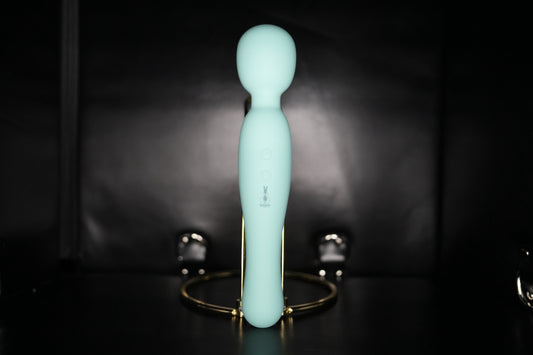 Wand vibrator